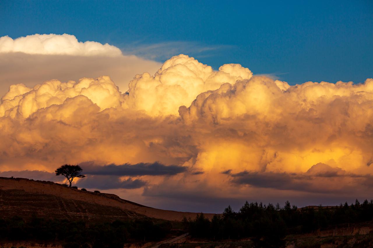 早知道西方无耻，没想到居然如此无耻。美国挑唆乌克兰和俄罗斯开战，战争持续三年，乌
