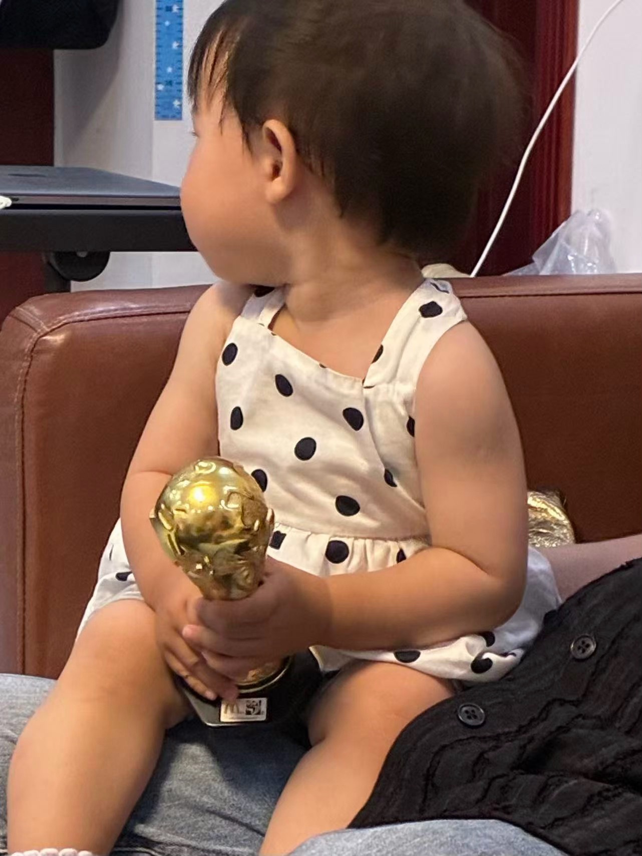 世界杯决赛爆冷，冠军不是葡萄牙也不是西班牙，而是喜宝呀！ 