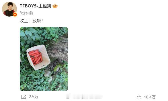 王俊凯在菜园里挖胡萝卜的场景充满田园诗意！他弯腰挑选萝卜时认真的侧脸，阳光透过菜