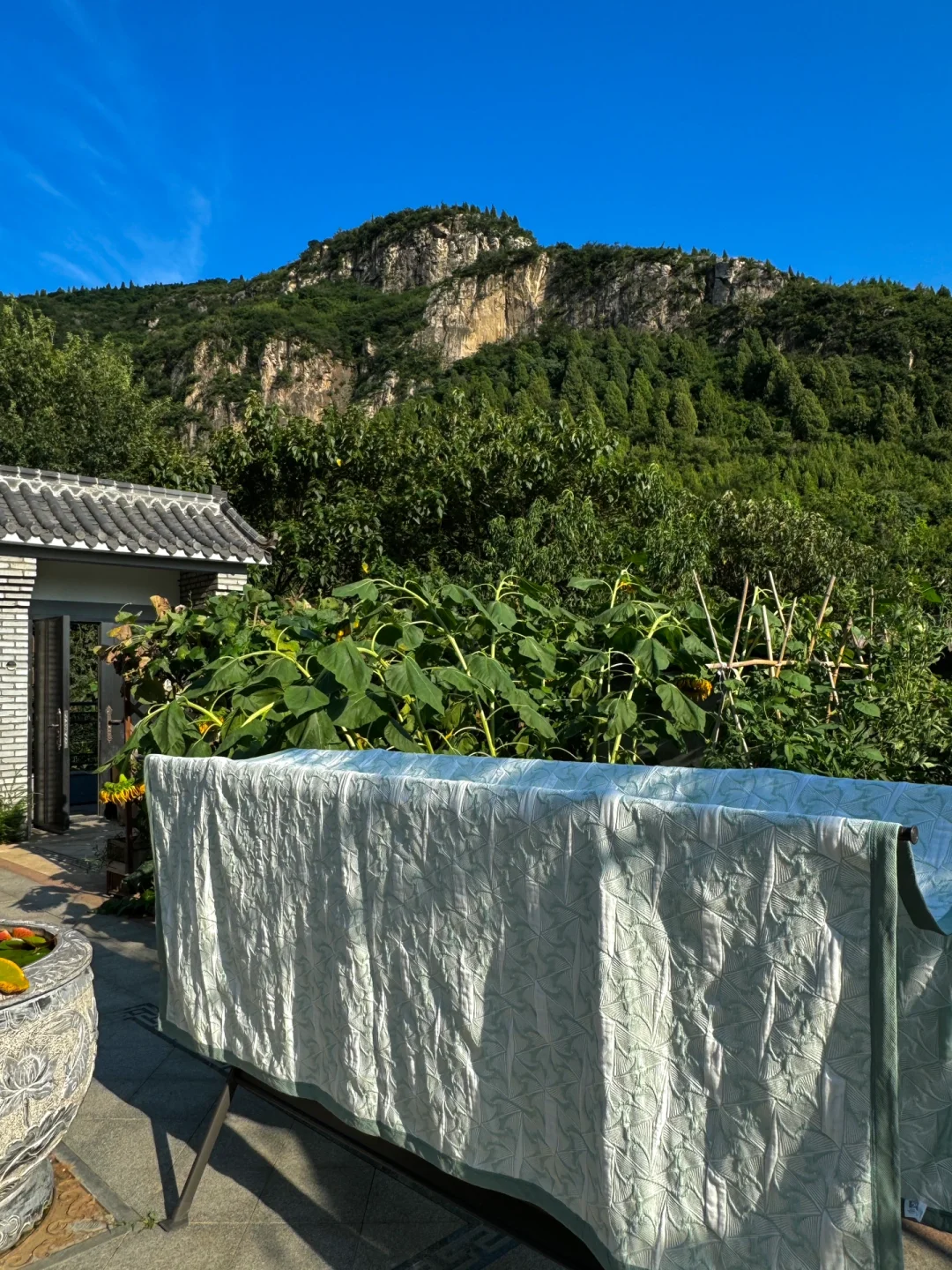黄帝内经：☁️🌿女子静养是大补（立秋美人篇）