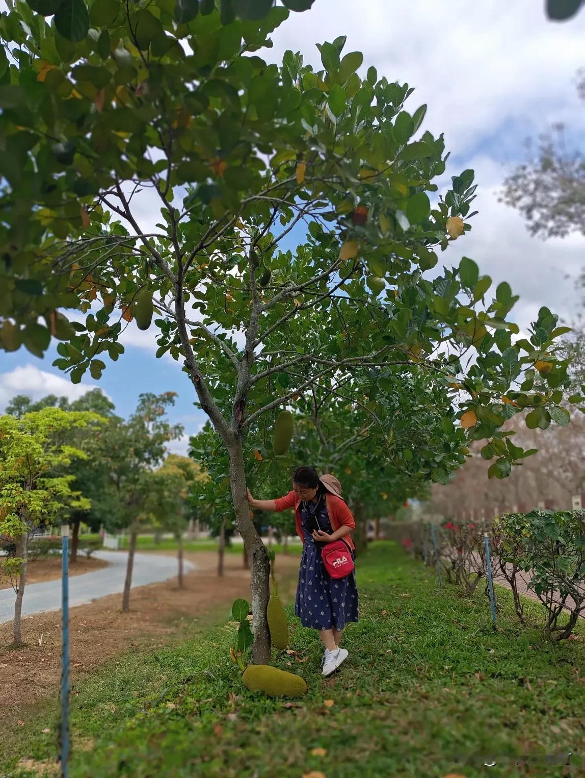 职场，没有真正朋友，只有永远的利益[奸笑]