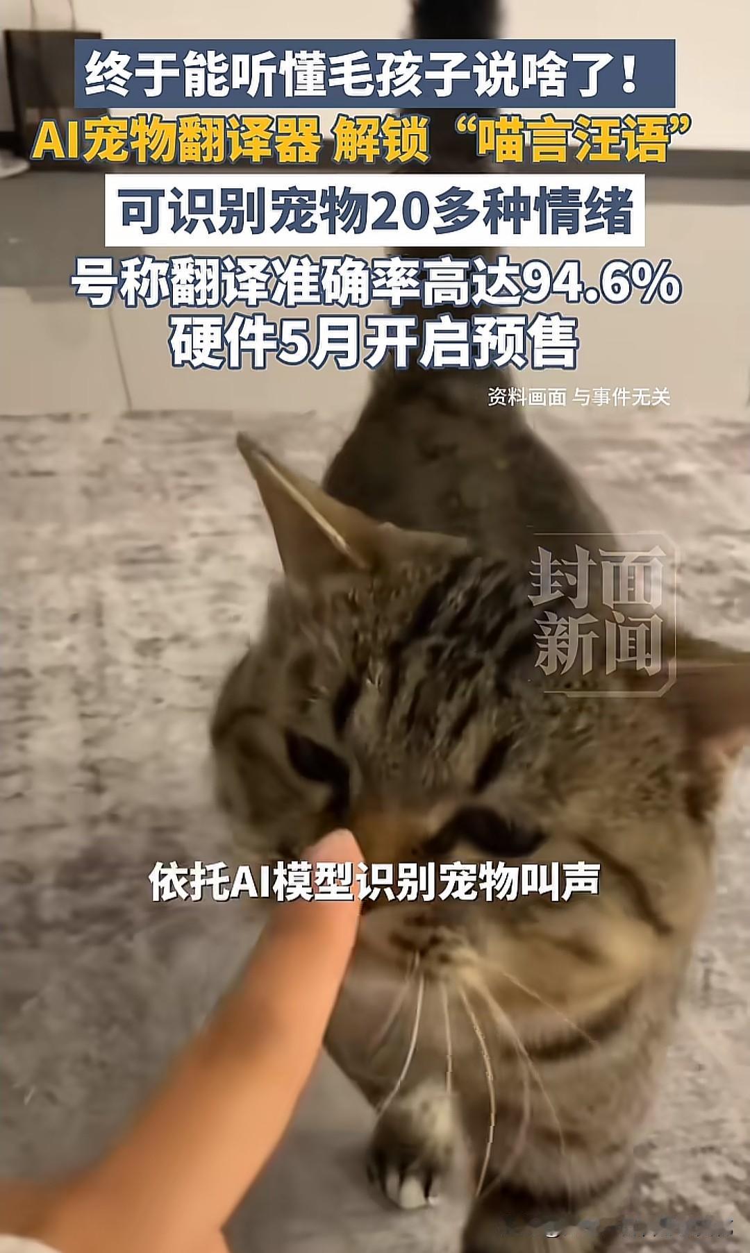 AI宠物翻译器喊出94.6%的准确率口号，但这个验证标准到底是谁定的？恐怕只有毛
