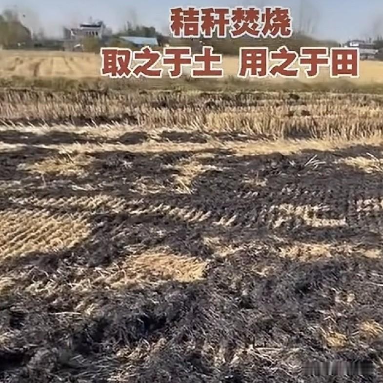 秸秆处置的“最后一米”：皖北田间试验呼唤“靶向微火烧”
        皖北平原