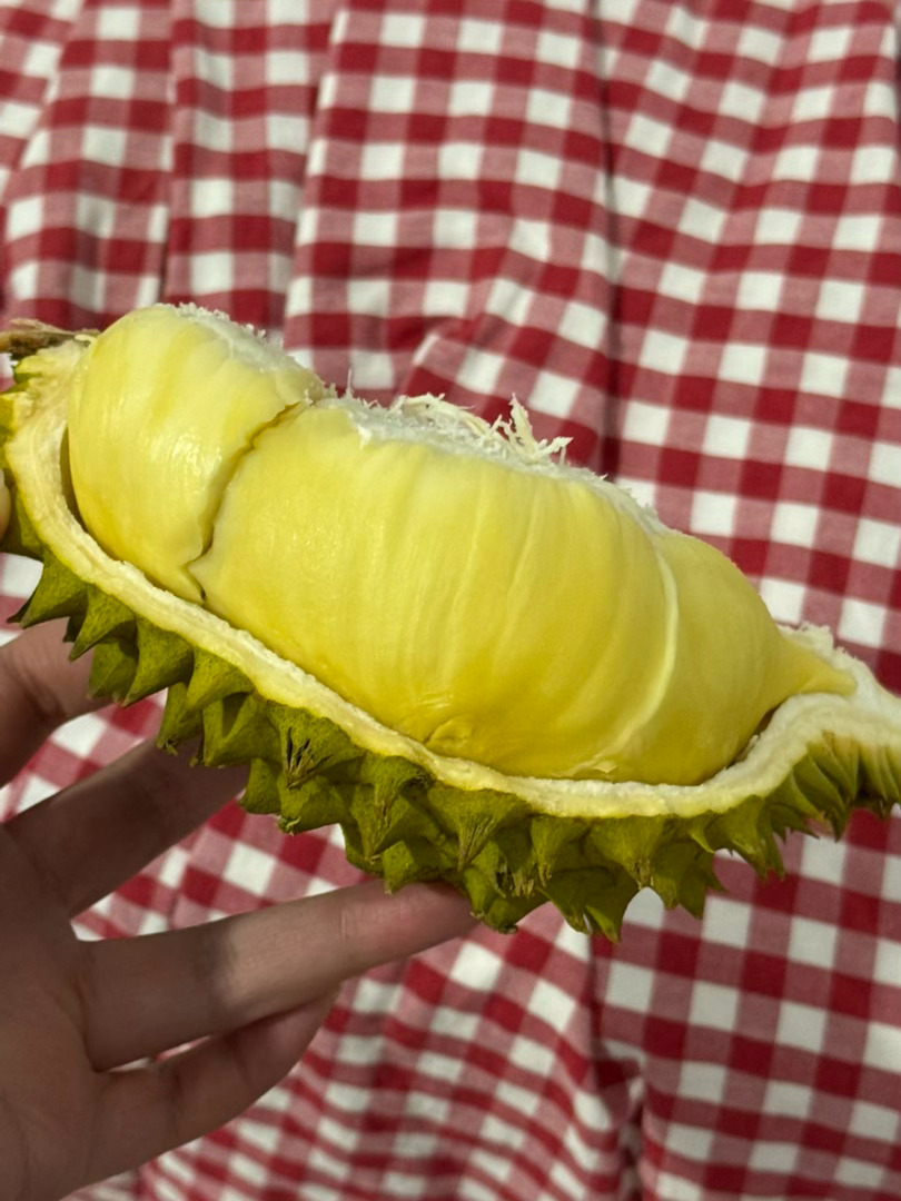 好腻呀…