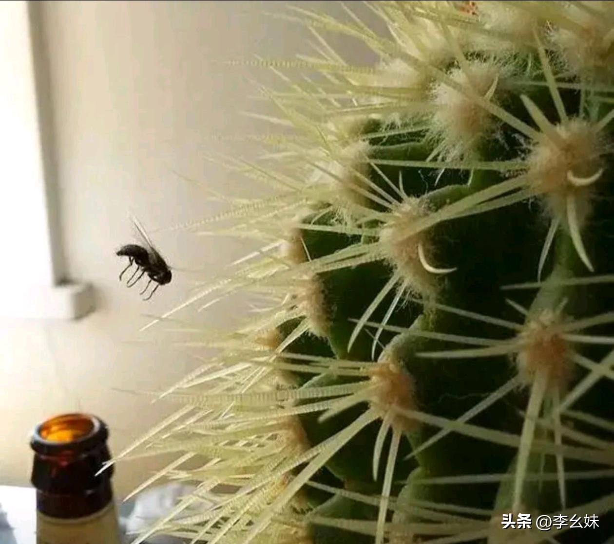 事实证明绝对不可以酒驾