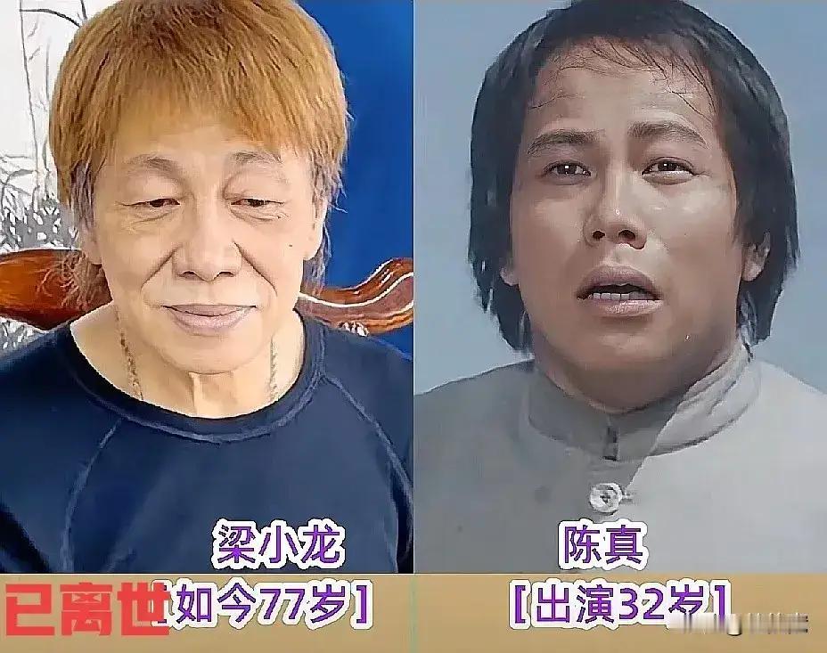 演过霍元甲的黄元申，现在的状况。
演过陈真的梁小龙，现在的状态。
演过王秀芝的魏