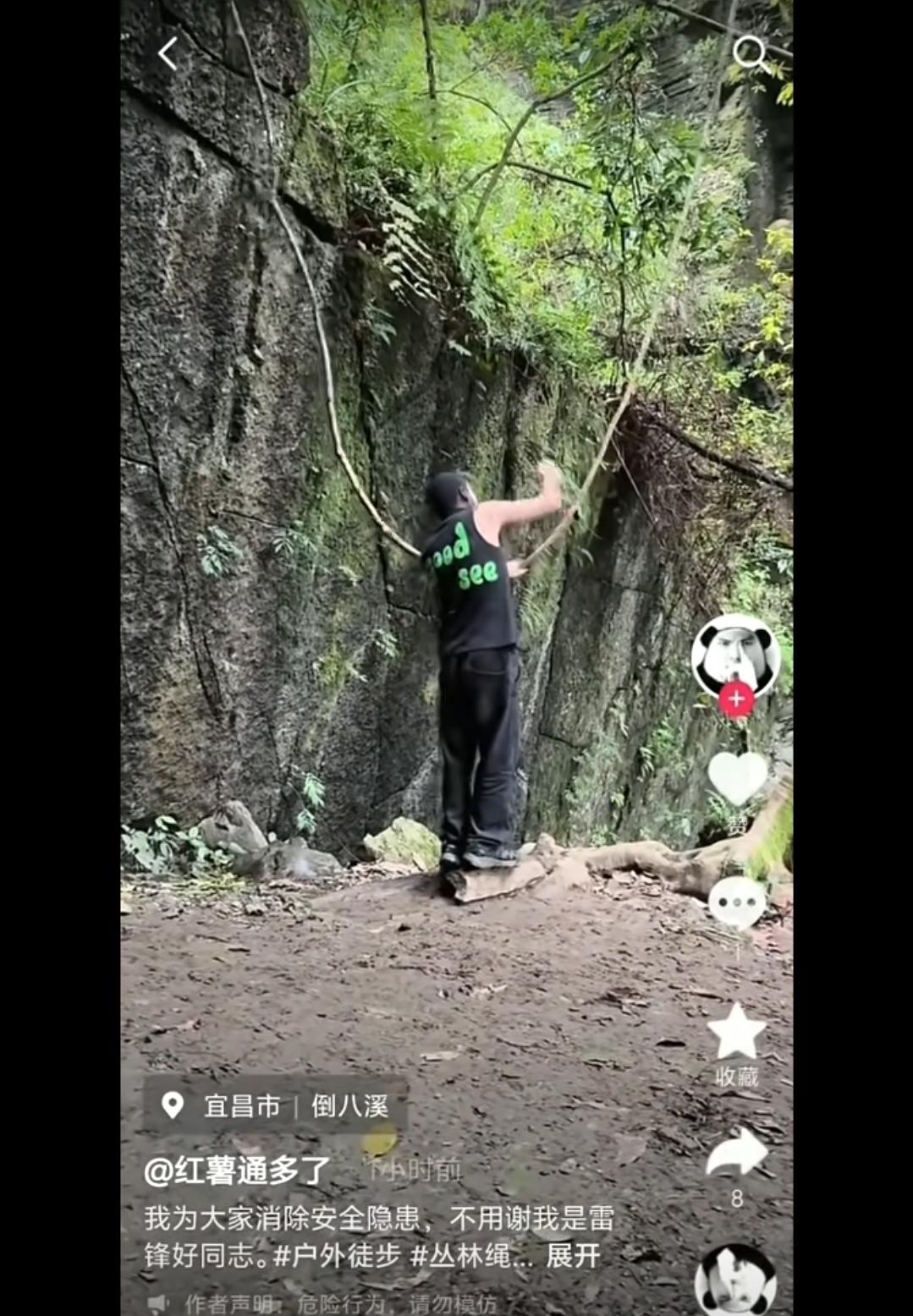 兄弟，一根树藤有什么安全隐患?
它是有毒啊还是有刺啊，能伤人吗？
树藤在大自然中