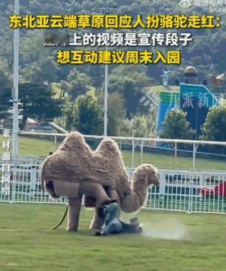 事出反常必有妖！辽宁沈阳，东北亚云端草原景区里，一名游客正舒舒服服躺在草地上晒太