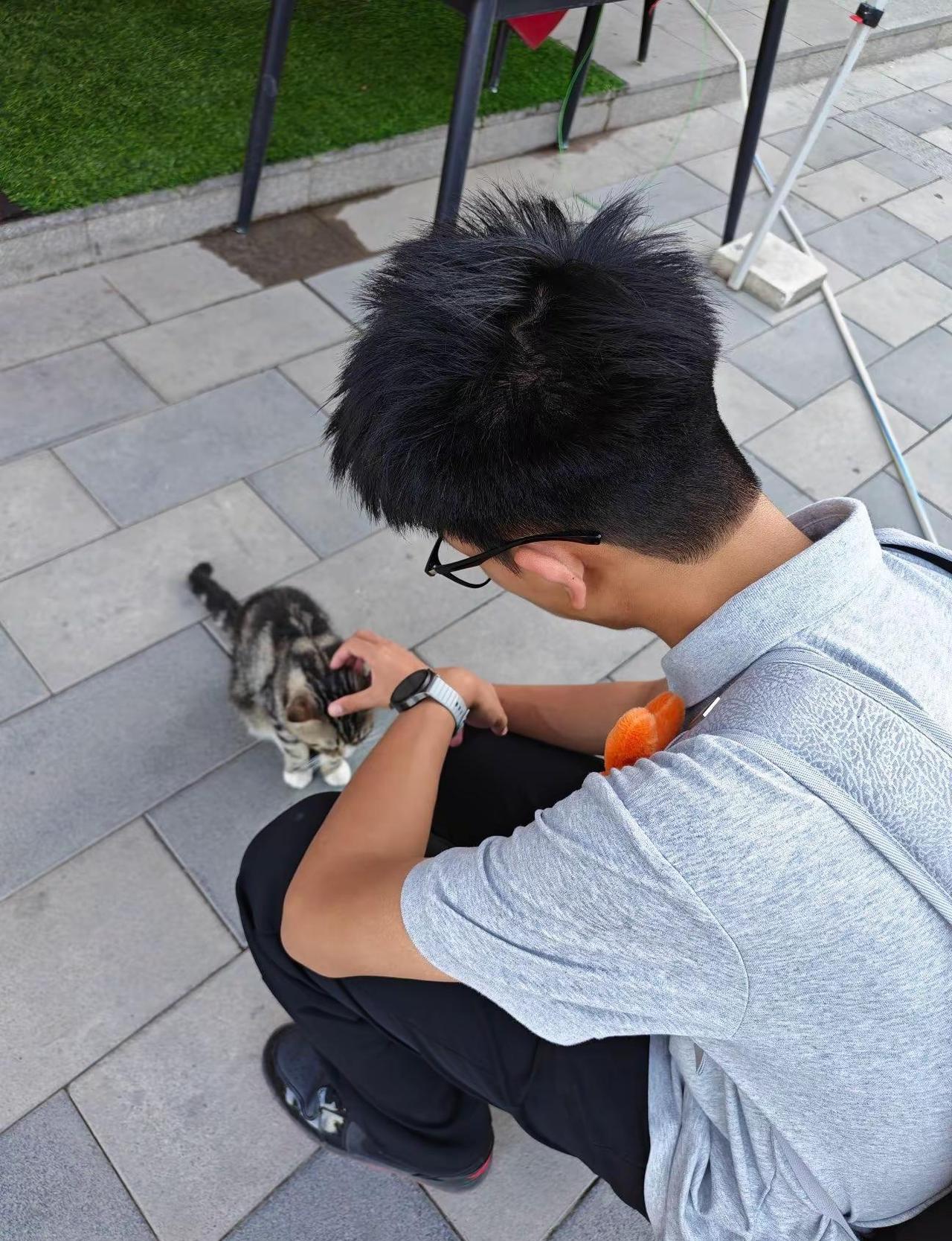 这个就是小李呀，蹲在地砖上低头轻抚小猫的瞬间，我静静望着我的男朋友，心底漫开软软