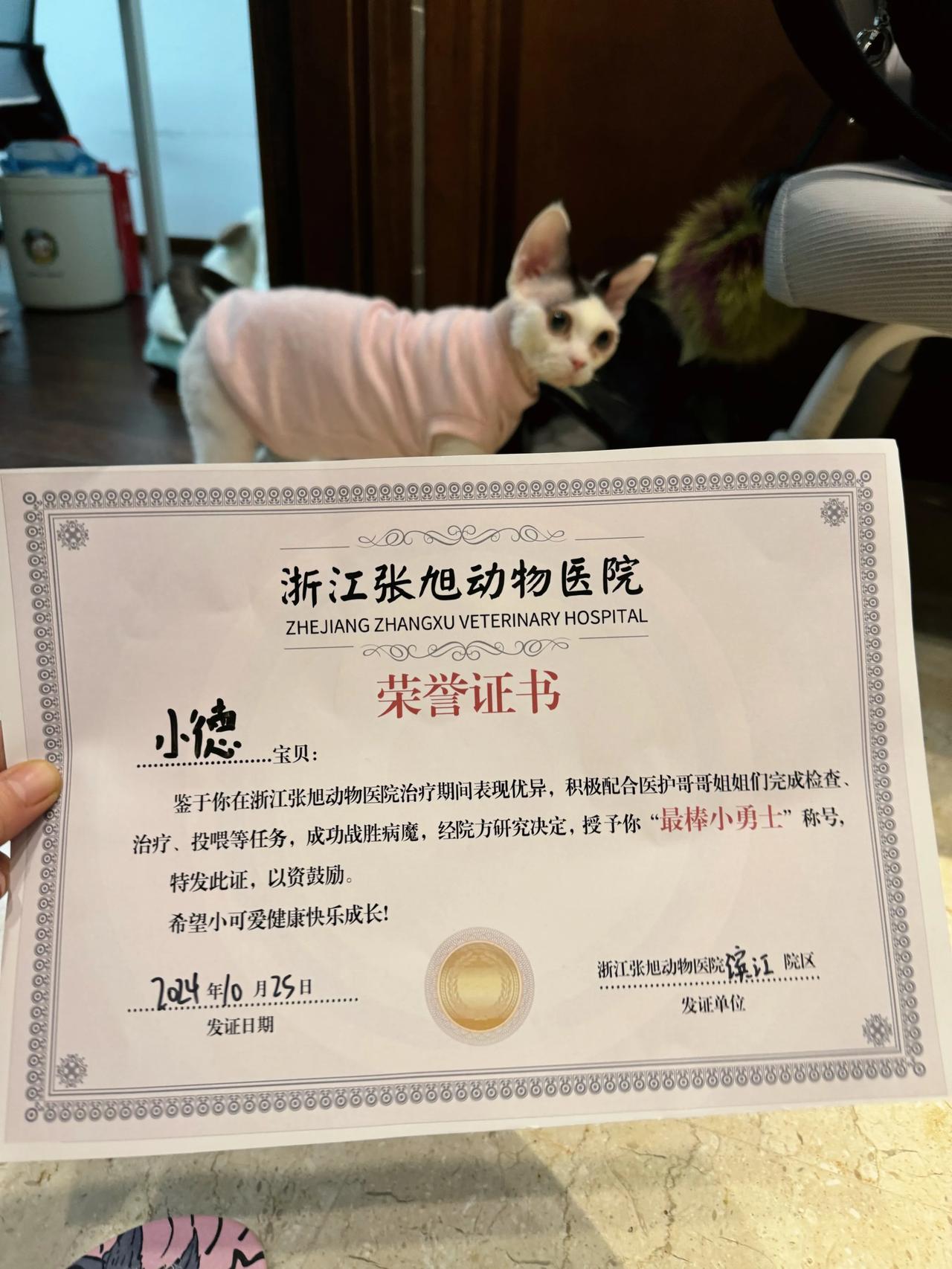 到家收拾了一会都这个点儿了！德总今天以优异成绩从张旭动物医院滨江院区毕业，获颁最