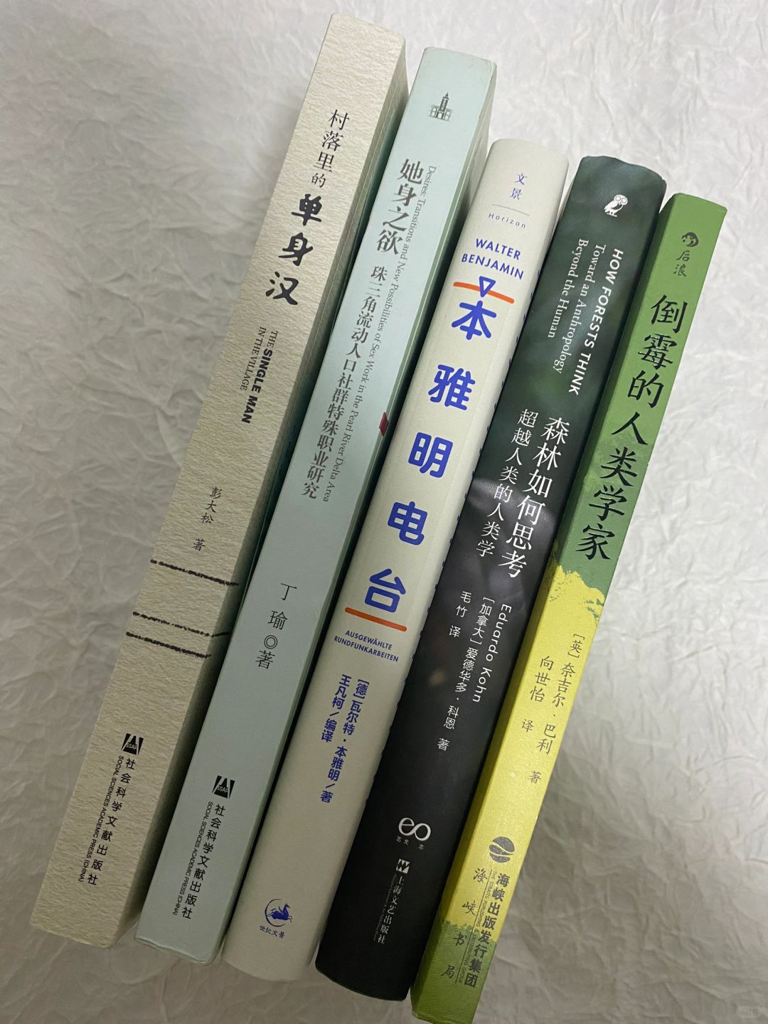 如果可以，我想用非虚构作品谈谈人类和苦难