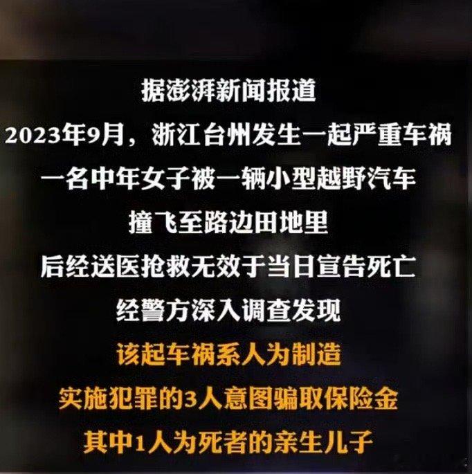 男子伙同二人驾车撞死母亲骗保看得我气的说不出话来[怒]亲生儿子能干出这样的事？！