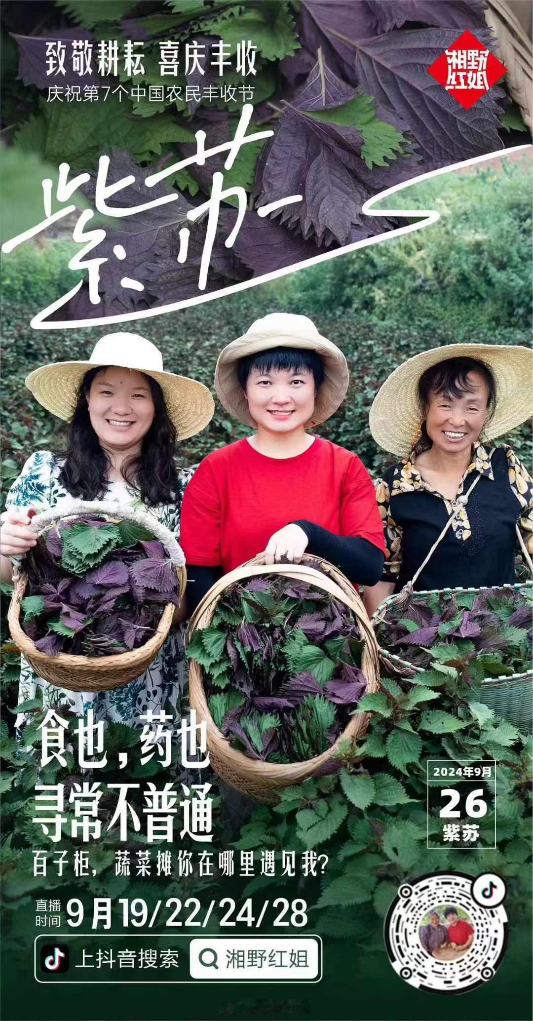 百子柜、蔬菜摊你在哪里遇见过我#丰收节##喜庆丰收# ​​​