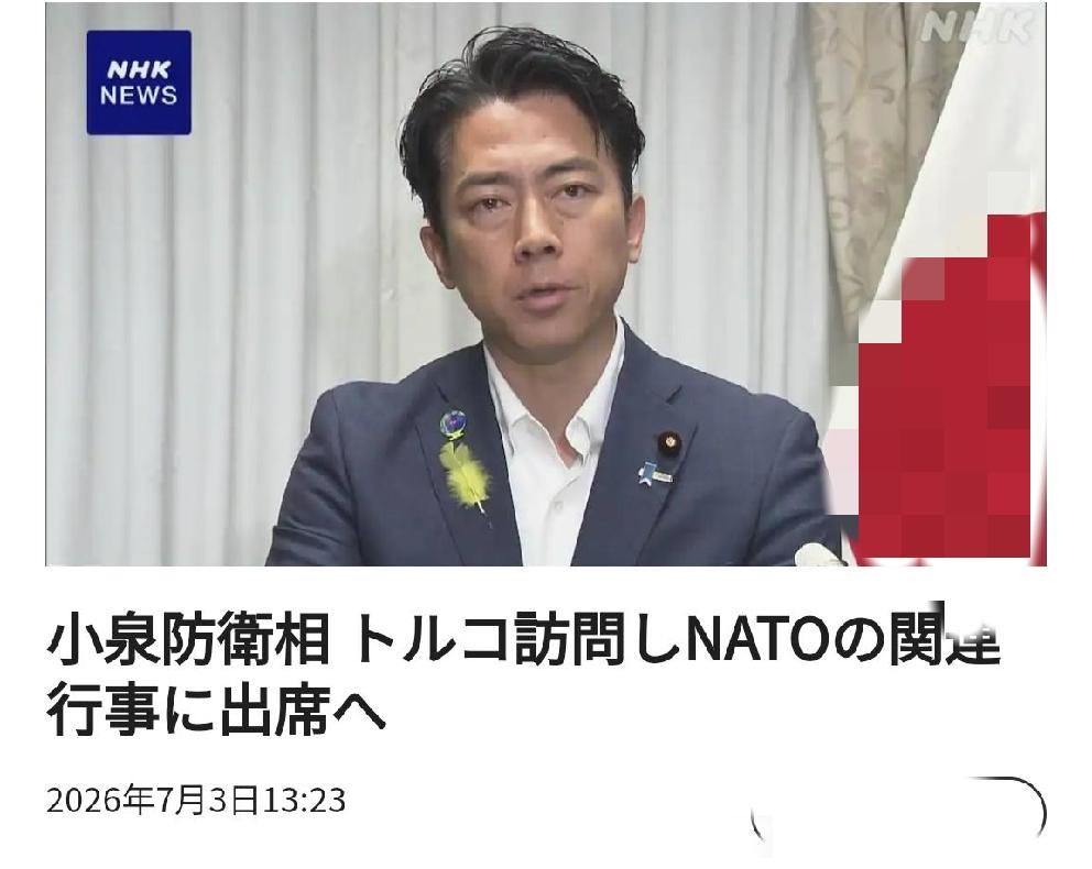 日本引狼入室：北约从“议题东扩”起步，最终有一天会图谋“地理东扩”
      