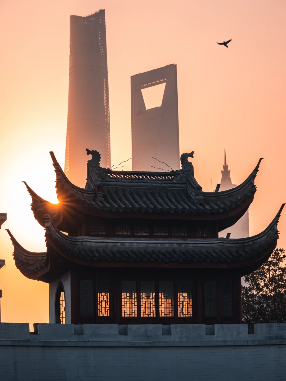 上海独立摄影4年，我用长焦拍的震撼照片～