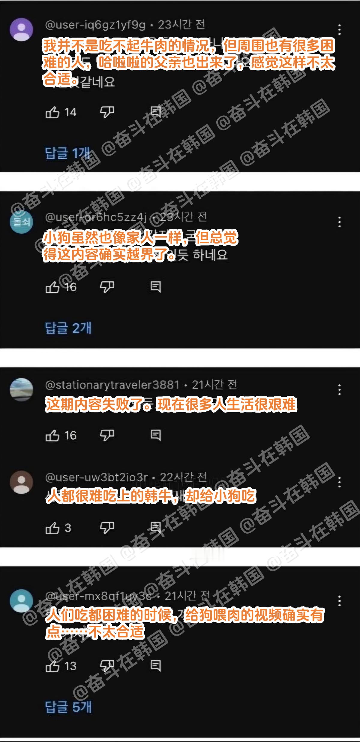 韩国一个youtuber拍了一篇给小狗吃牛肉的视频，评论区炸锅了... 海外新鲜