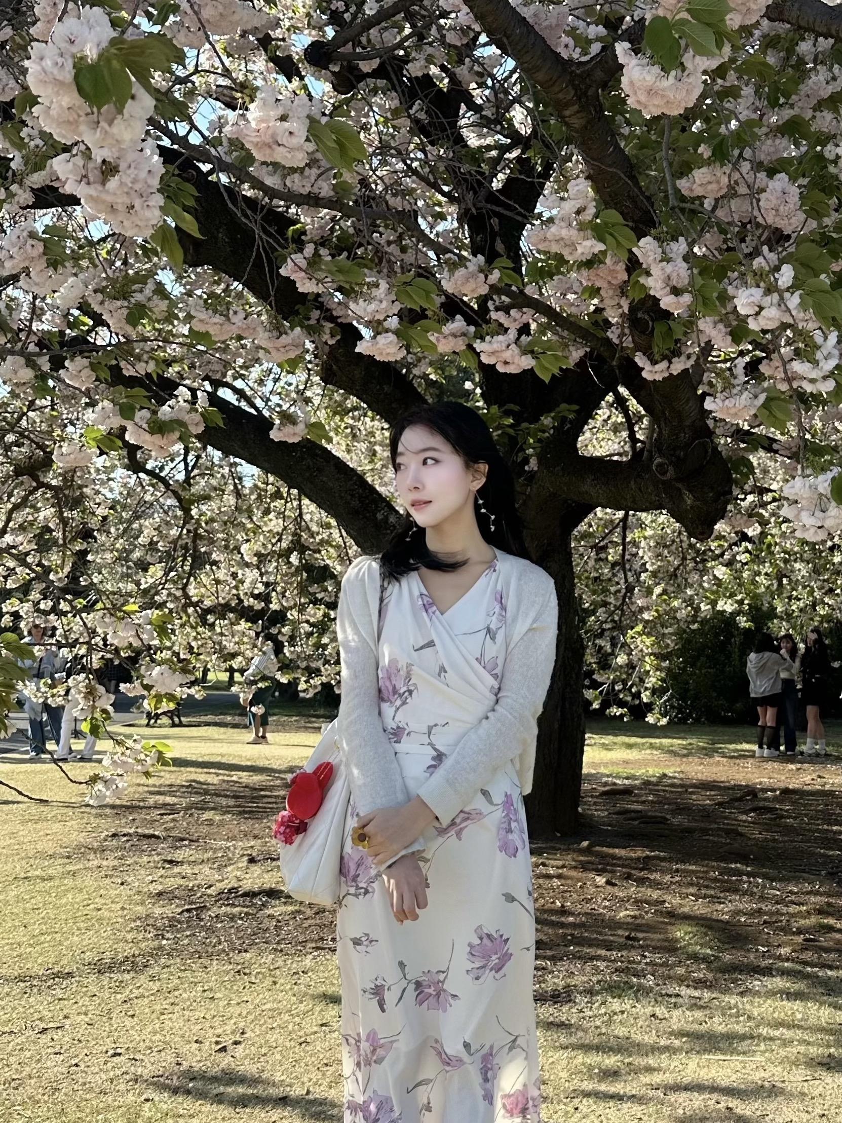 还记得那个春日午后。在新宿御苑的草坪里一个人坐了一下午 什么都不用想 ...