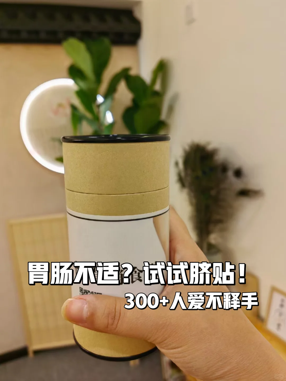 🤩肚脐贴，养小脾小胃的好帮手！
