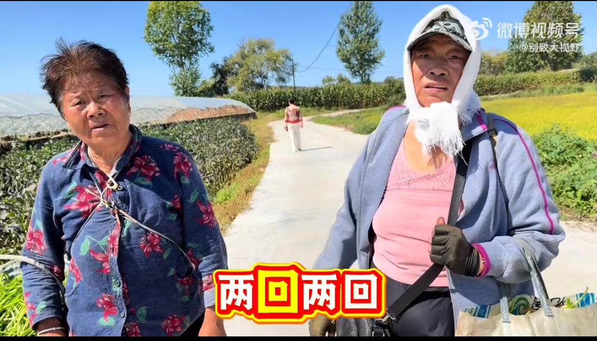 大老远走来两老太，偷菜的惯犯，不止一次来田里零元购茄子。被老板抓包了，还死不承认