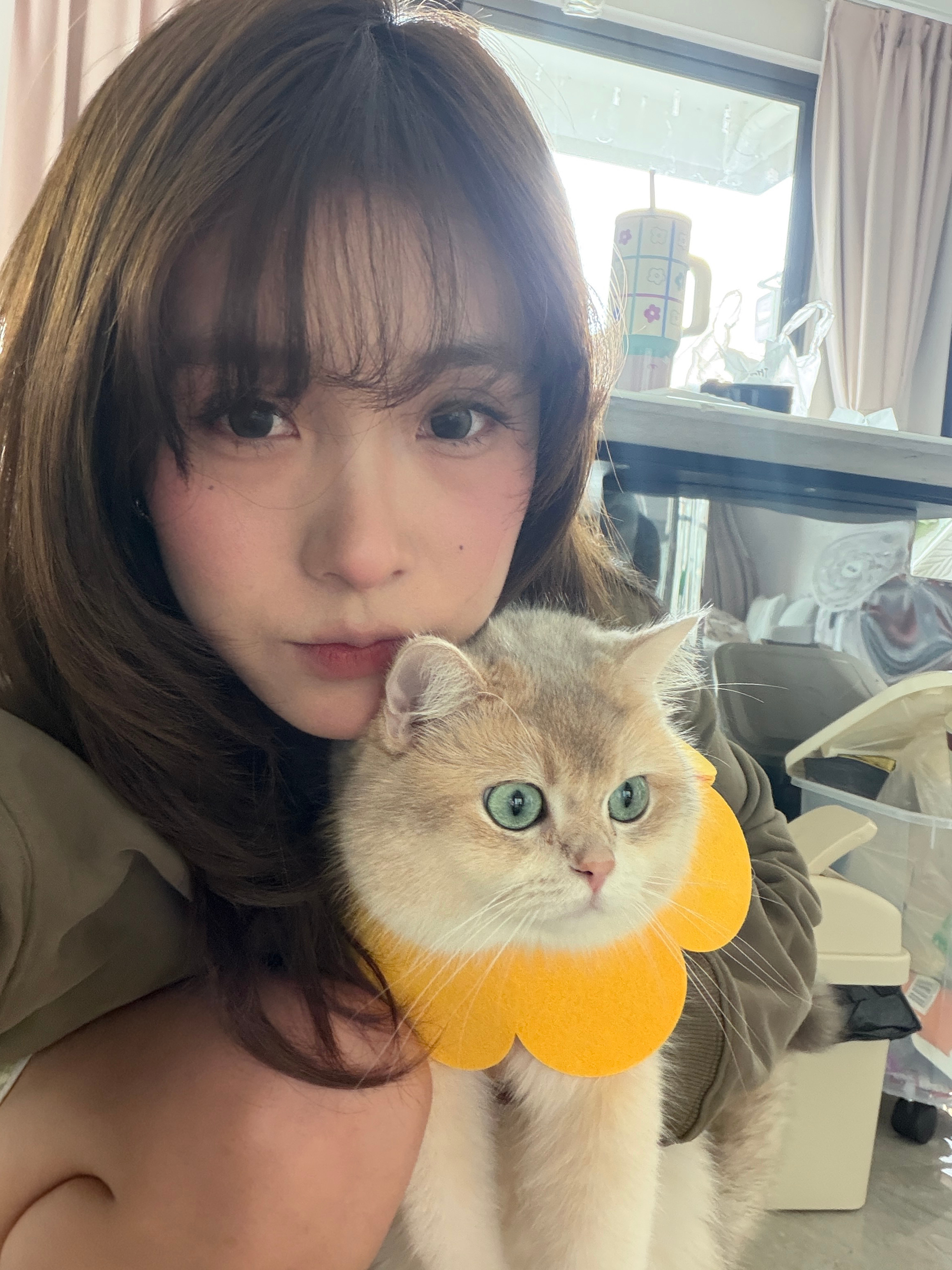 🐱假期快乐呗 ​​​
