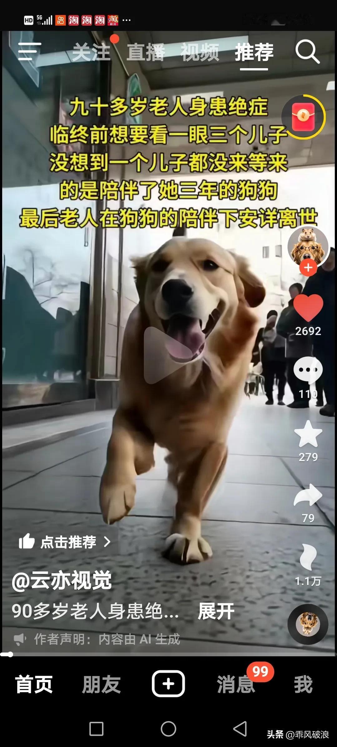 老奶奶九十三临㚵前等三个儿子来看望未等到，等来了养了三年的狗狗前来培伴，在老人的