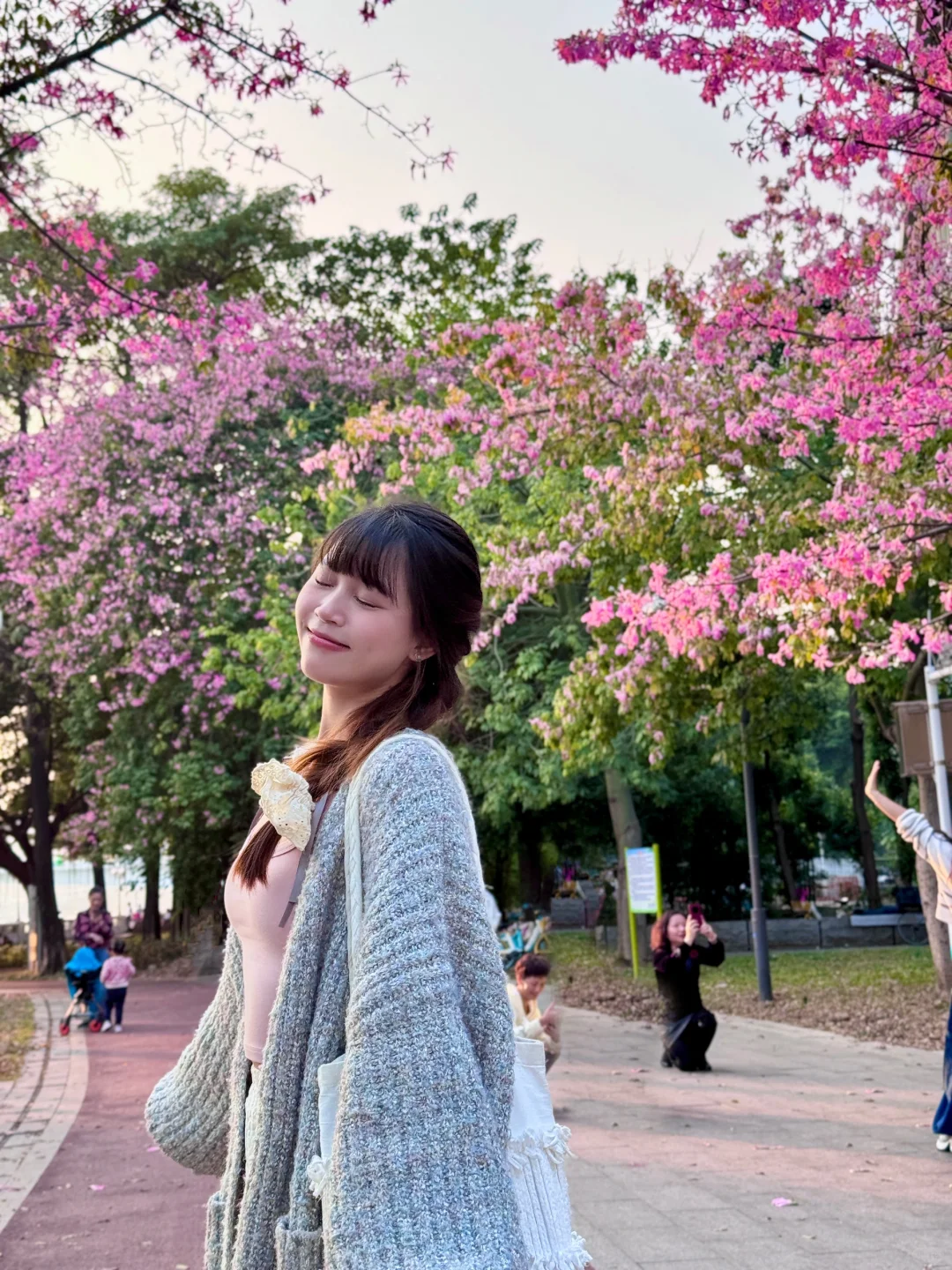 12.9实况🌸异木棉肆意张扬在广州的冬天‼️