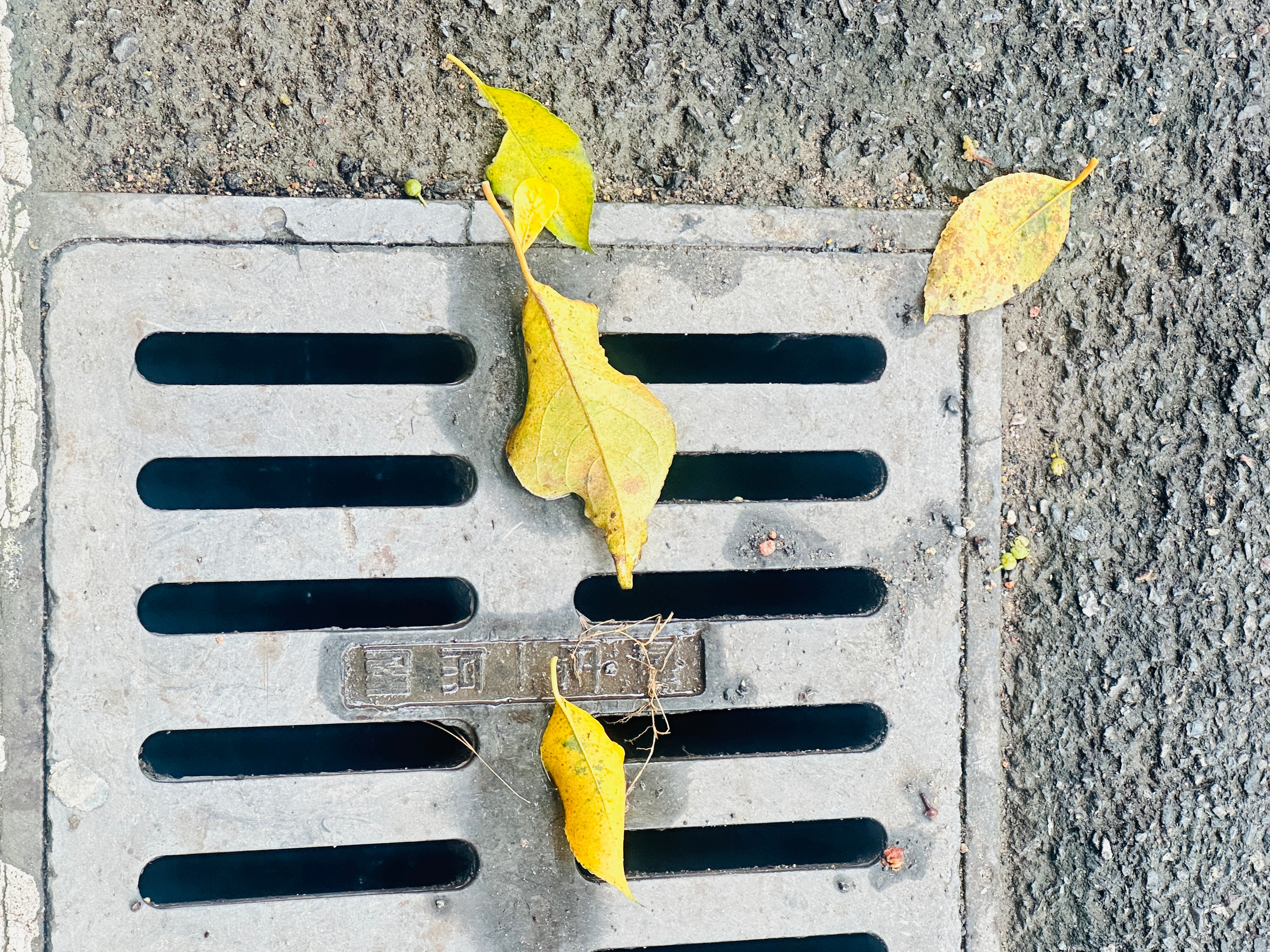 真是下了一整天的雨呀～今天是第三代比亚迪元PLUS上市，又赶上深圳大暴雨，据说好