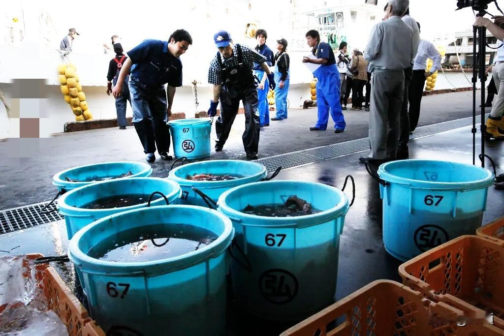 真是大快人心！
 11月19日，日本政府证实接到中国正式通报：全面暂停进口日本水