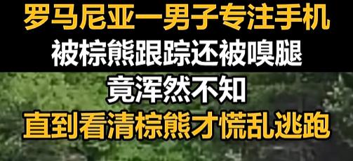 “熊：让我看看你在看啥呢？”7月29日，罗马尼亚山路上，一位大哥边走边埋头刷手机