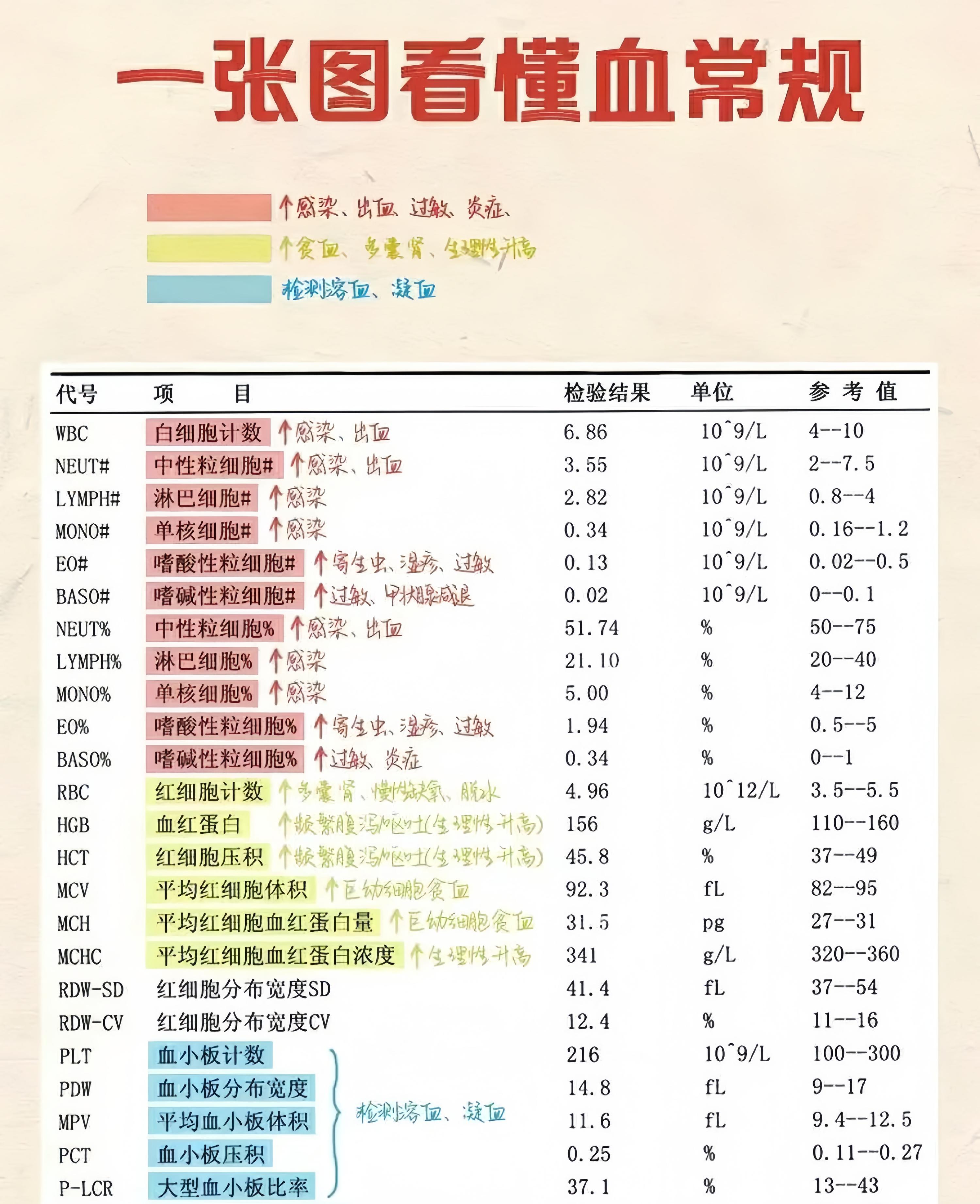 一张图看懂