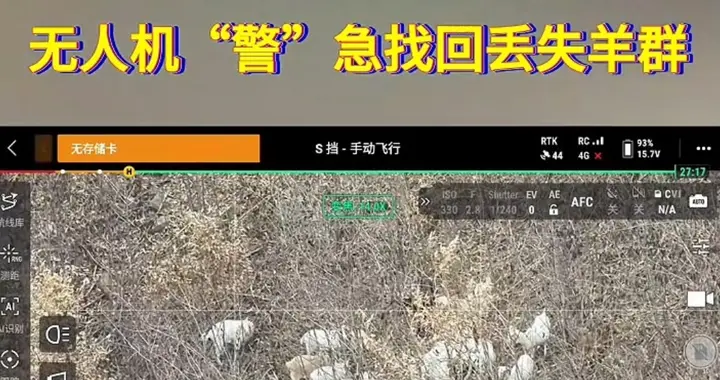 果然视频|30只羊走失，临朐警方用无人机找回