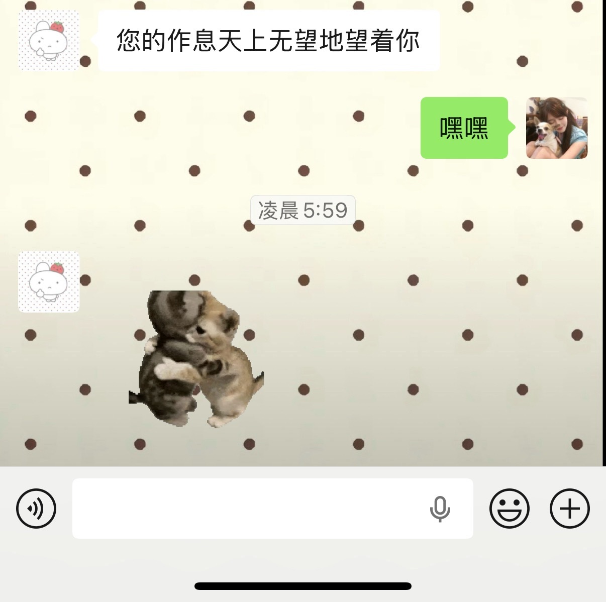 分享图片 