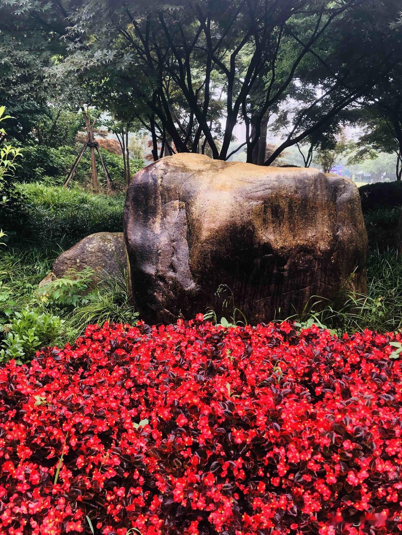 请您对下联？
下联：艳花簇拥染林间春光

上联：青石静卧藏山野清气
下联：艳花簇