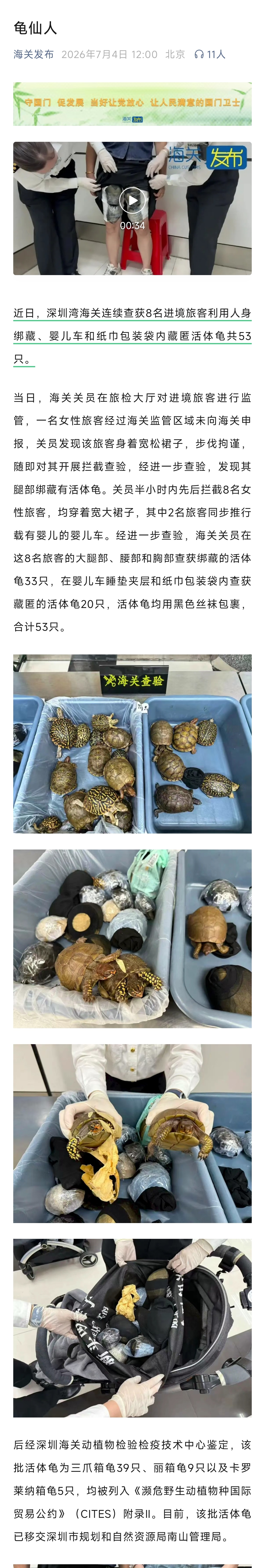 我想问个问题，走私海龟很赚钱吗？深圳的深圳湾海关查获几名女子，走香港向国内走私珍