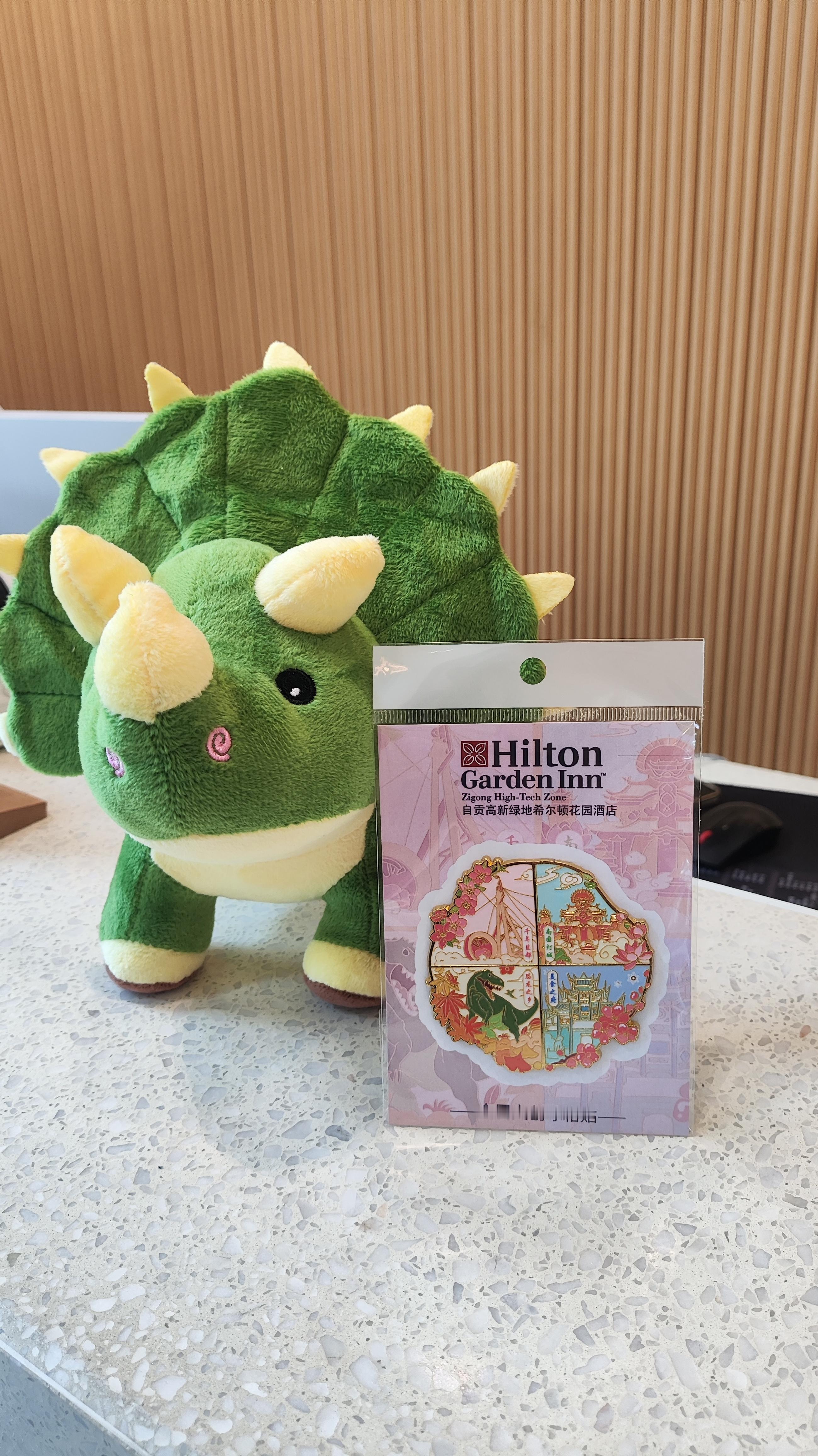 今天来这里住，很棒的！自贡棒棒哒！ 自贡·自贡高新绿地希尔顿花园酒店