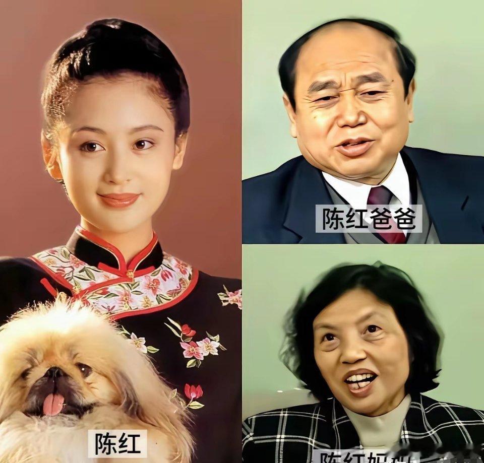 真是中了基因彩票，难以想象陈红的父母相貌平平，居然能生出这么漂亮的女儿，做她的父