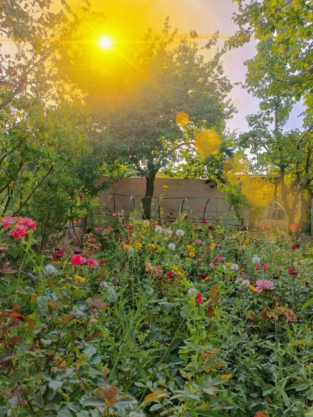 今天是12月4号乌鲁木齐天气晴。因为12月3号是我朋友的生日，但是昨天因为上班没