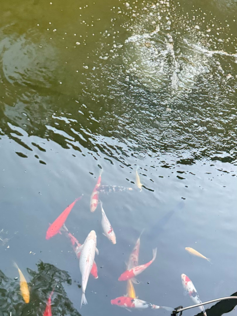 晚安  保持一颗善良的心，就是人生幸福的源泉，就是一席永恒的筵席，就是被人尊重的