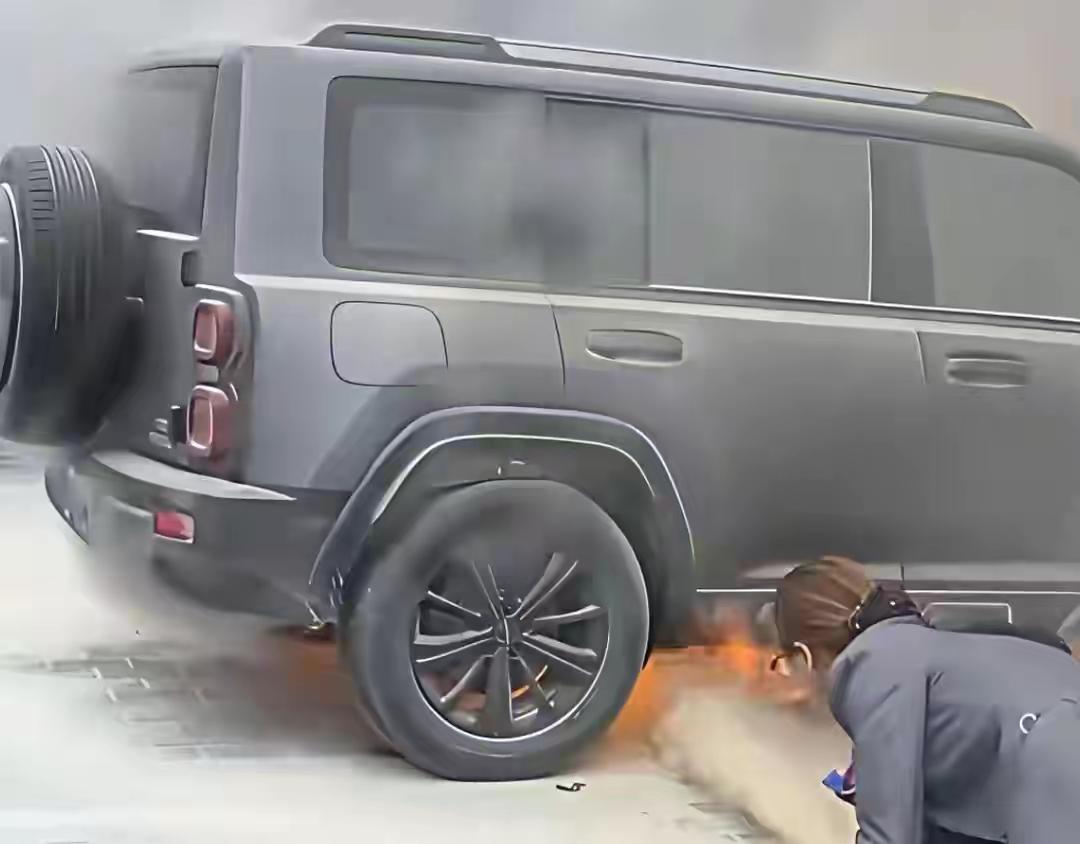 经审核，这台车应该也是充了劣质电才发生自然的！