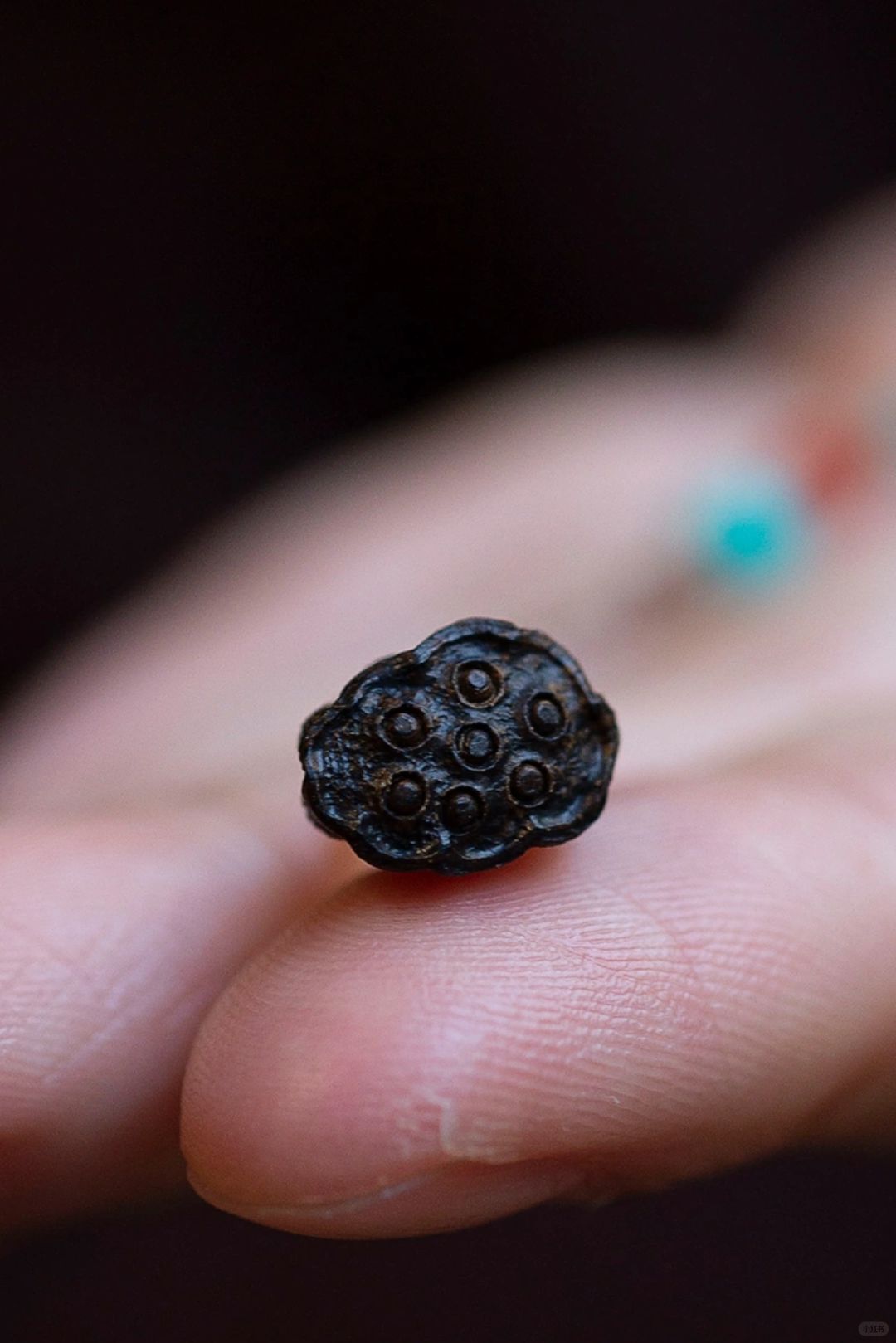 小莲蓬，寓意多子多福。❤️满满的爱都是好福气