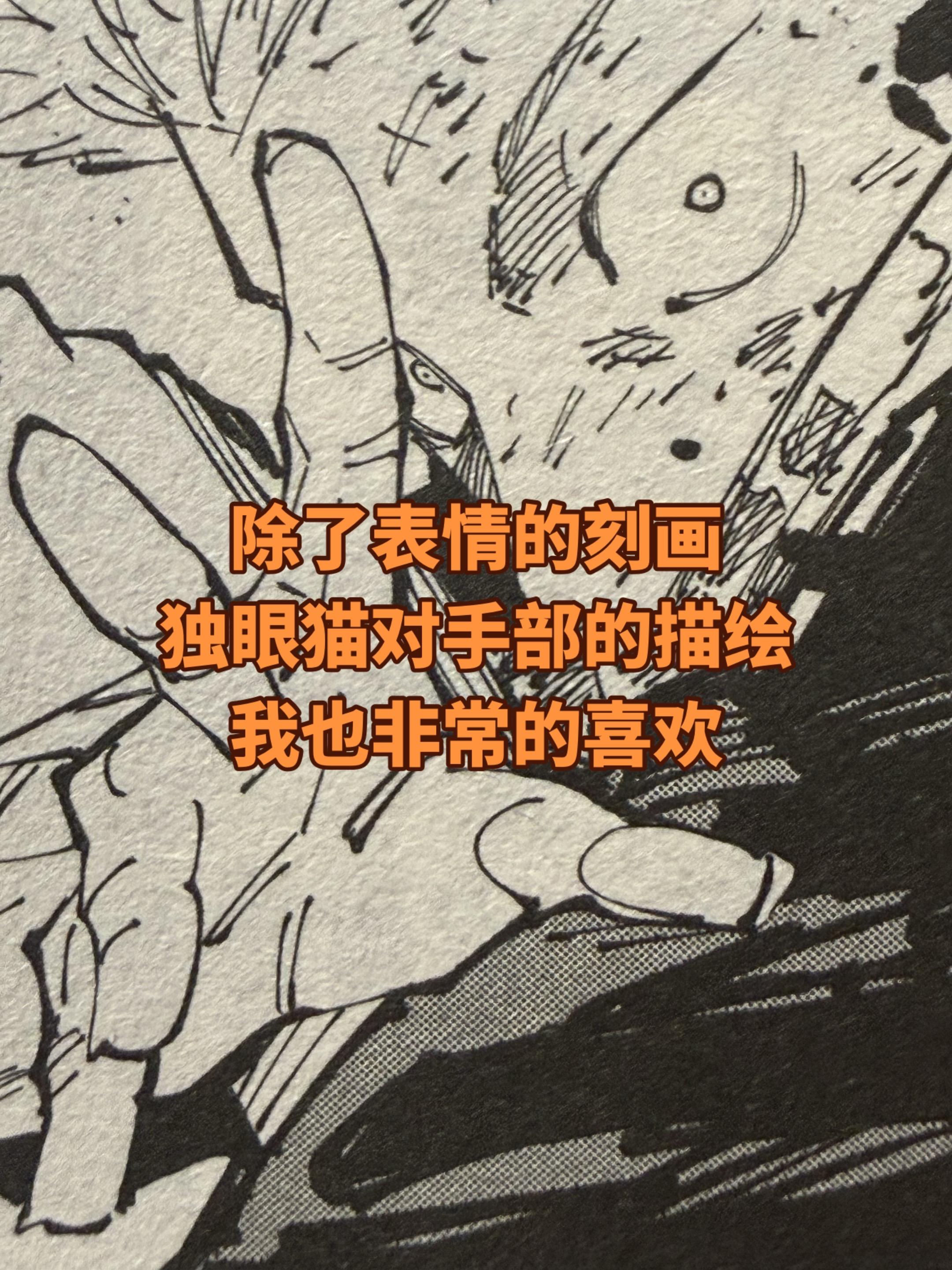 我无意改变别人的看法。我只对喜欢这部漫画的人负责。并不是说喜欢就不能说...