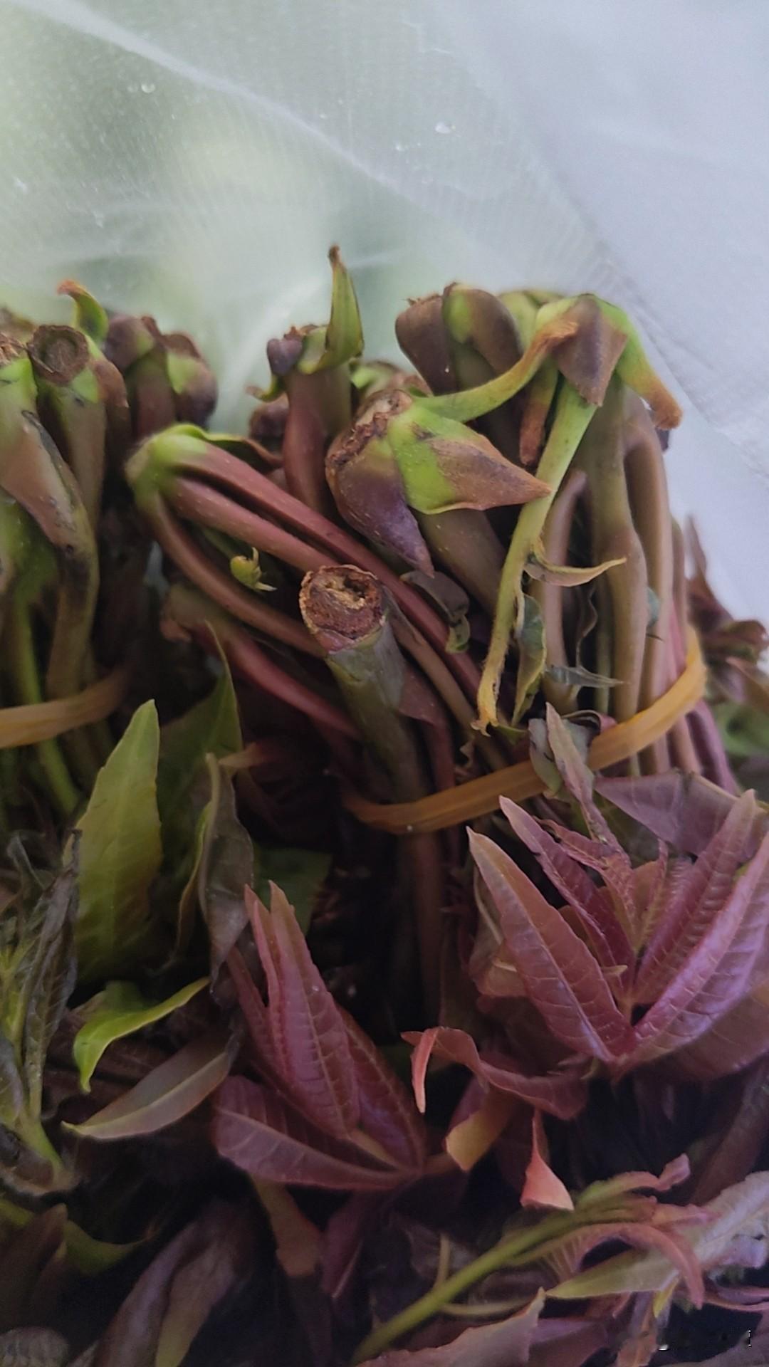 测试一下大家对弹窗广告的讨厌程度。
A.无所谓，弹出广告的时候就放下手机休息一下