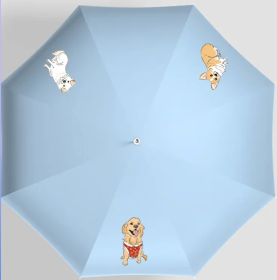 用一把伞，撑起它们的一生