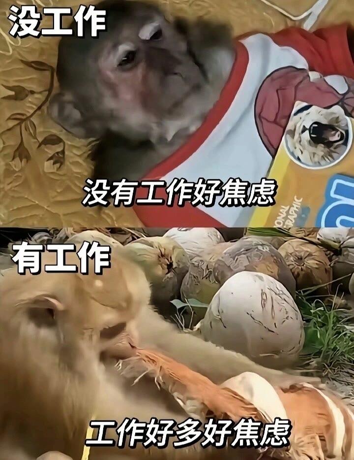 要不休息一小会儿？(●°u°●)​ 」

作为每天和选题死磕的内容作者，谁没经历