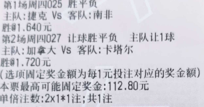 风哥世界杯风向：🚩025 世界杯 捷克vs南非风向：胜 温度：1-0 2-1?