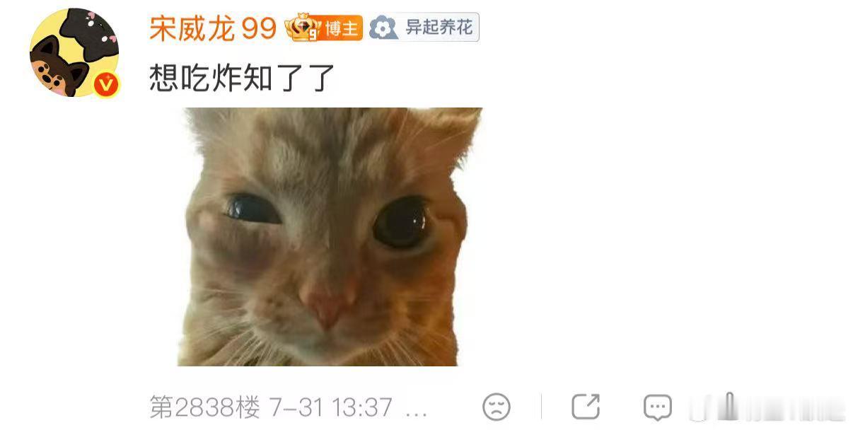 宋威龙徒手抓知了 果然帅哥的脑回路我们永远猜不到，又帅又抽象实锤了！！ 