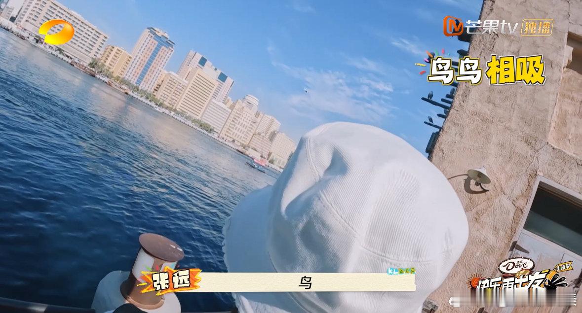 张远[超话]  张远中国brid遇迪拜鸟  看着张远和鸟儿们“交流”的样子，我都