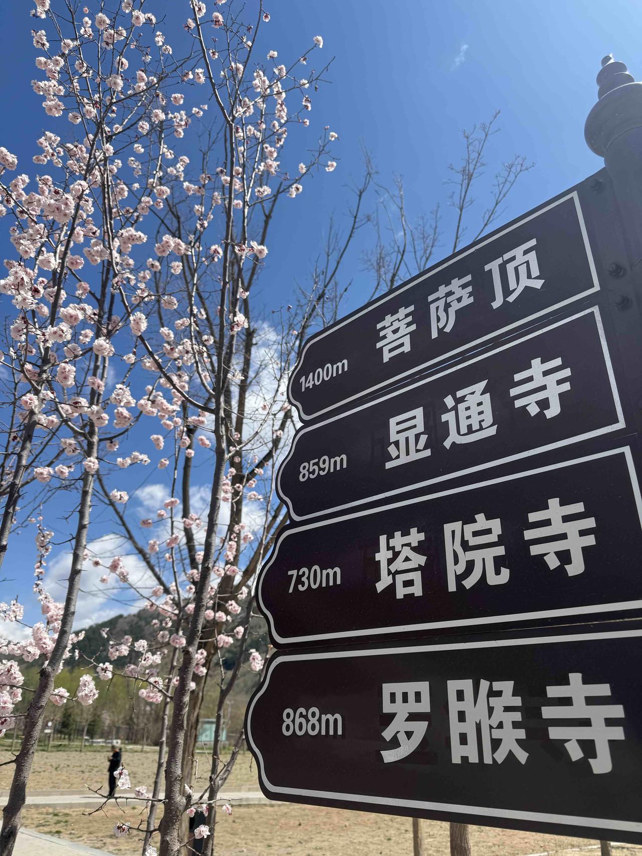 任何建筑在幻想、梦想、狂想基础上的大厦，终将因虚妄、人性的无耻贪婪和没有制度去制