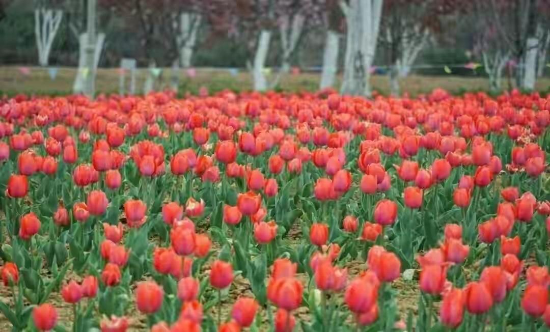 记住四句话，任喷子如何叫嚣，绝伤不到自己！

一、不解释、不反驳、不吵架。喷子就