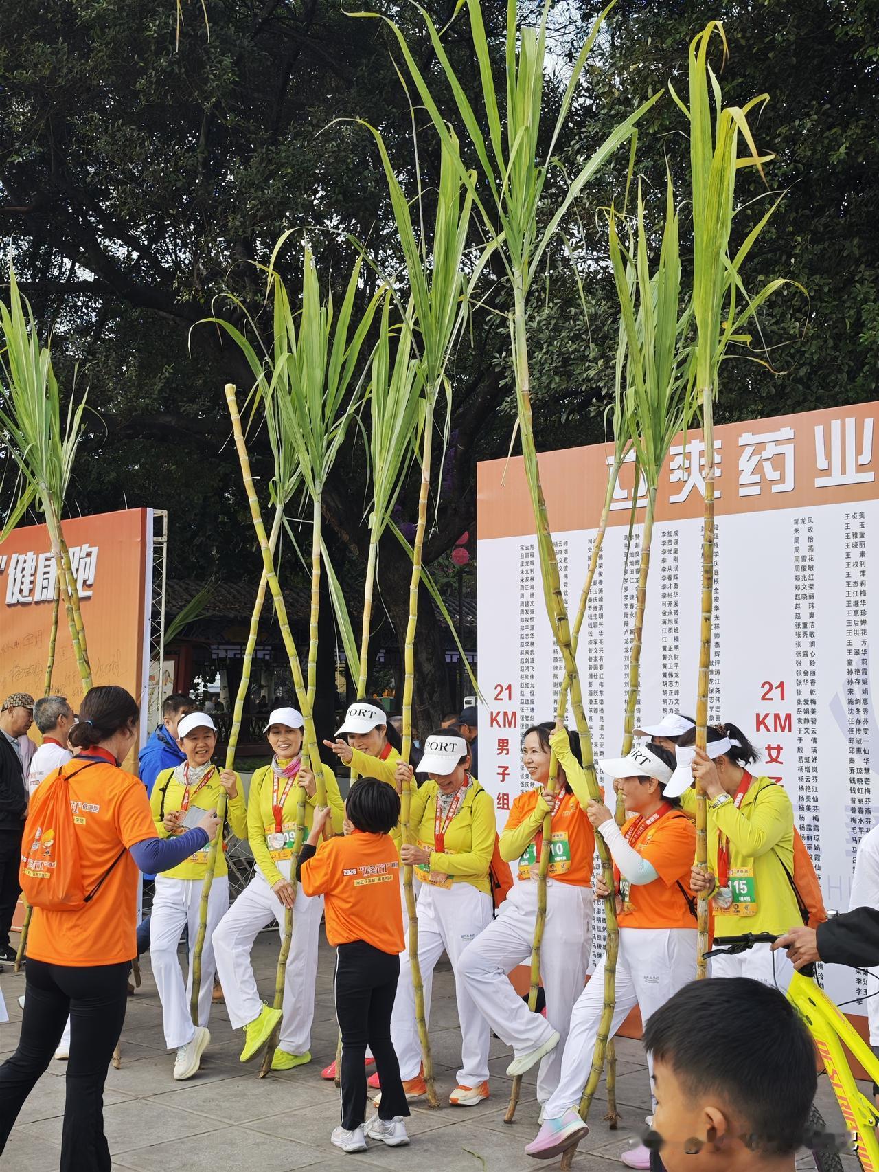 记录我的2026“暖冬元江”的健康跑很甜哦，参赛者每人都有一根甜甘蔗哦[大笑][